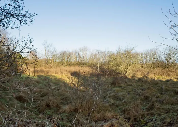 In With Sauna * Norre Nebel